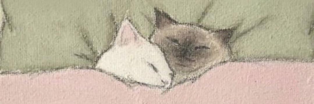 cyrce banner