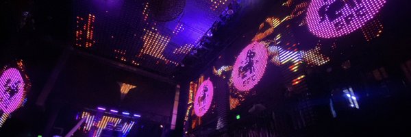 theniftyoracle Profile Banner