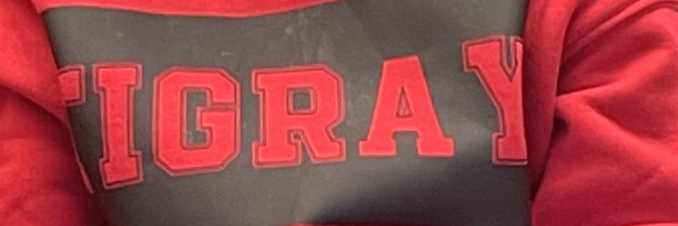 ForeverTigray's profile banner image