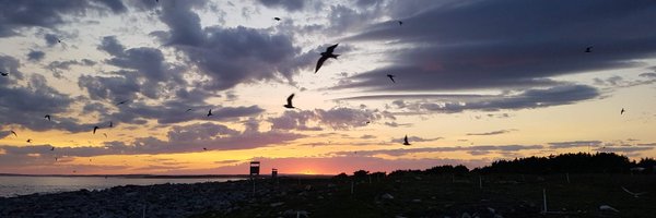 averynagym Profile Banner