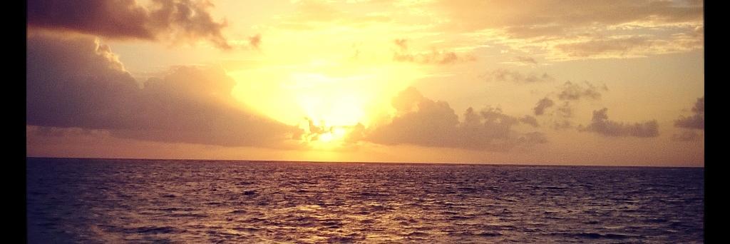 IsraelVenegas's profile banner image