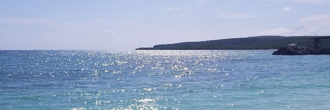 Tempeste Simone, MBA banner