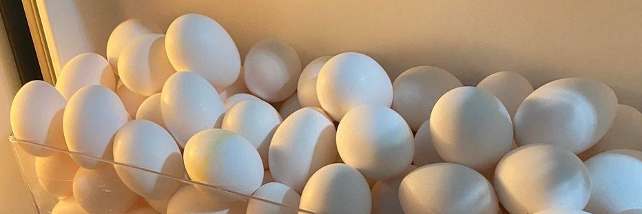 Egg on Rails banner