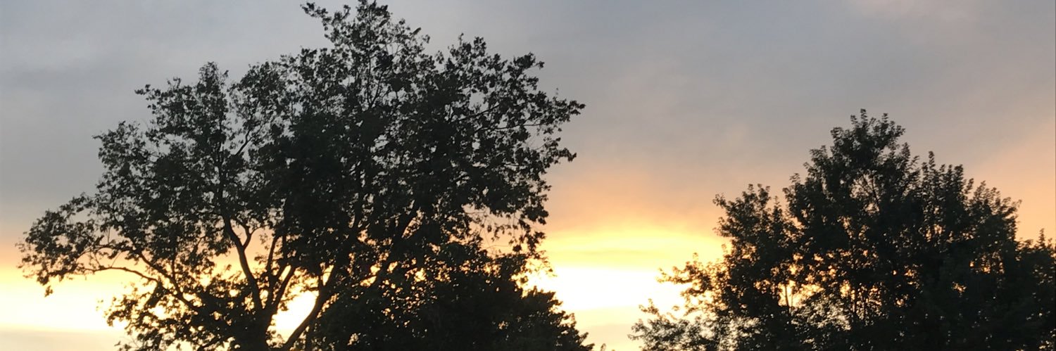 EDinkins1's profile banner image
