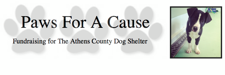 OUPawsForACause's profile banner image