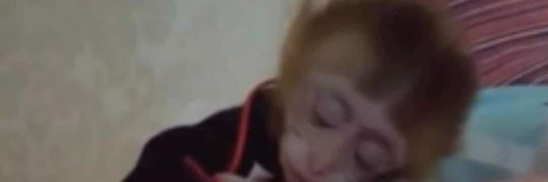 angiiemio's profile banner image