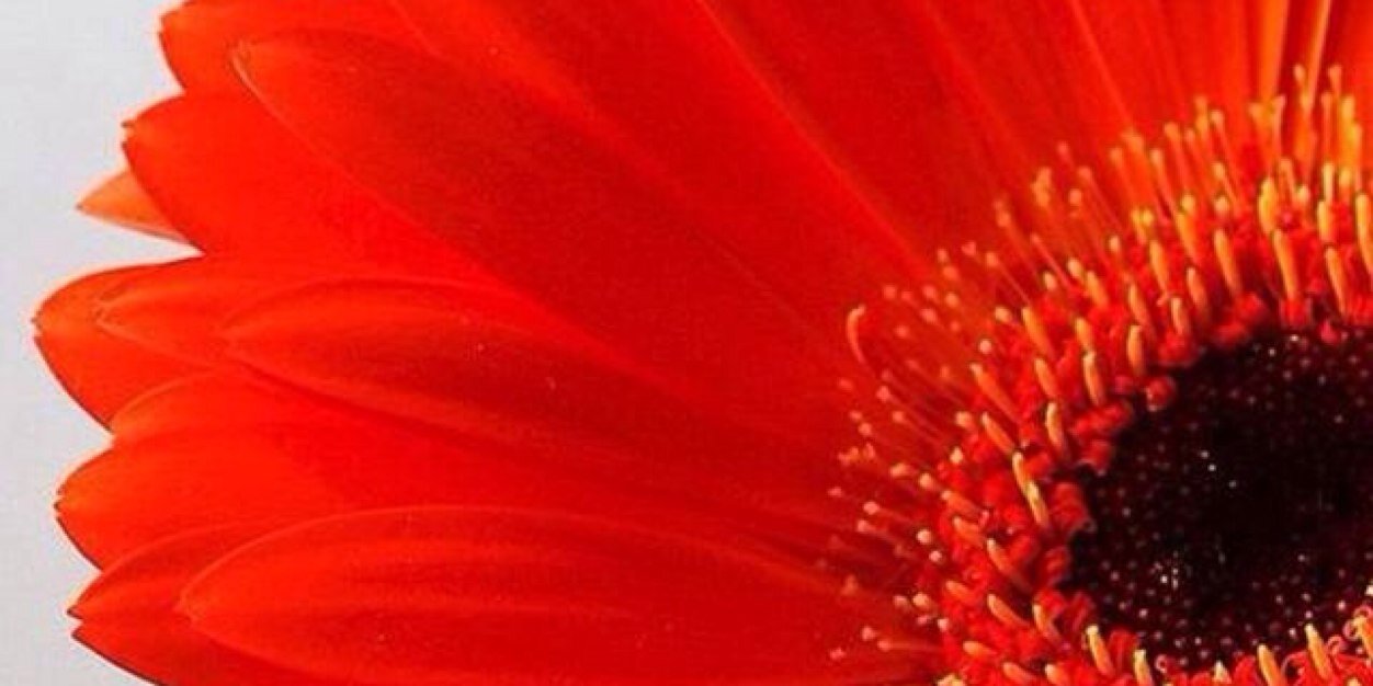 KRozler's profile banner image