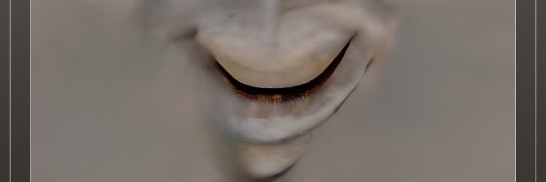 Anthropoid Freak® 🟪 Wave banner