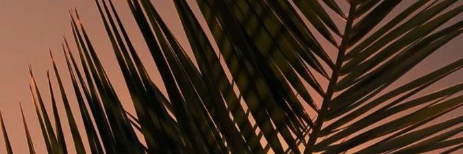 b_shadya's profile banner image
