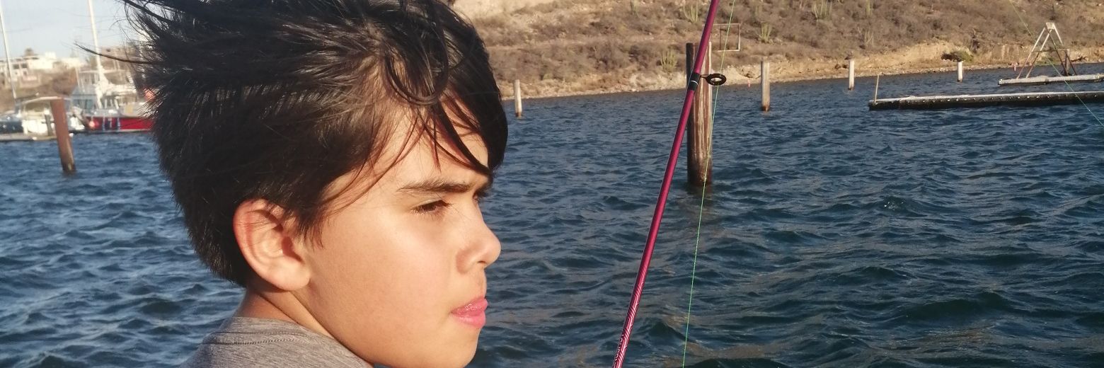 gustavoadolfodr's profile banner image