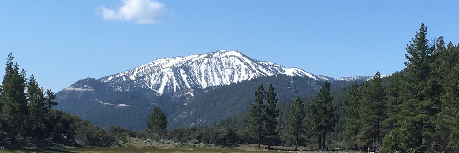 Kristine 🌻 banner