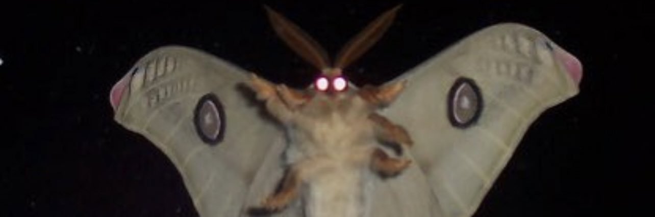 hot gay autumn 🎃🍂 banner