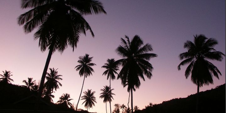 BiebsMostDope's profile banner image