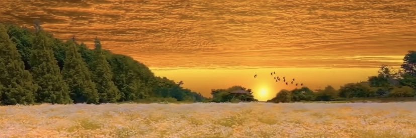 o_oke1's profile banner image