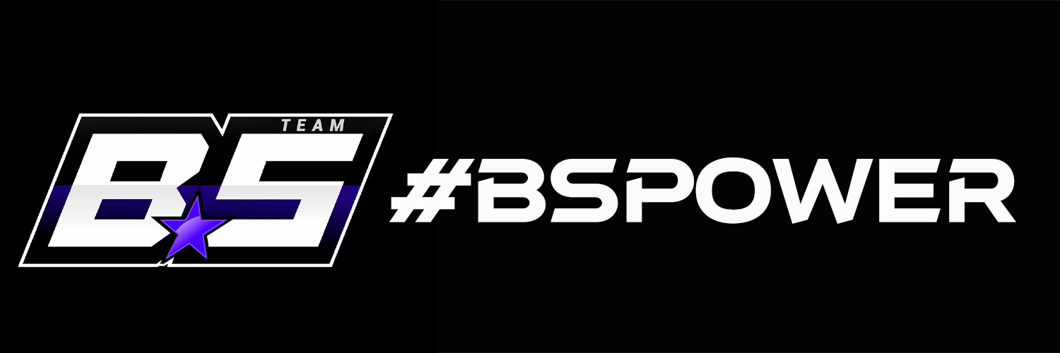 BsTeam 🦖🖤 banner