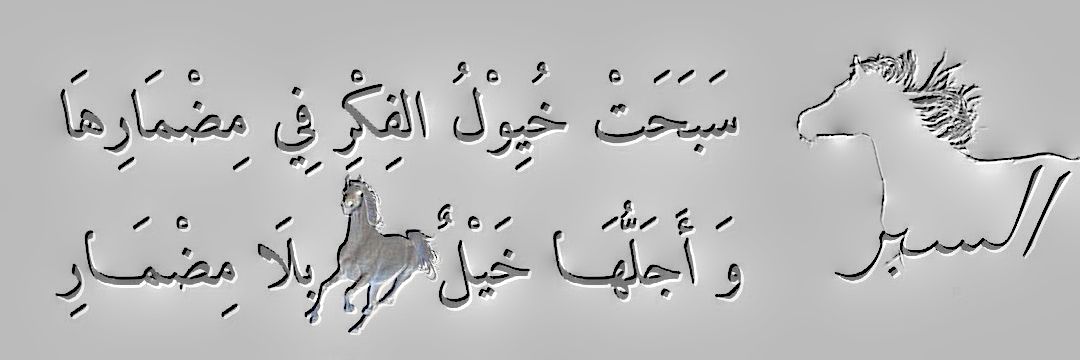 الشاعر السبر العصيمي banner