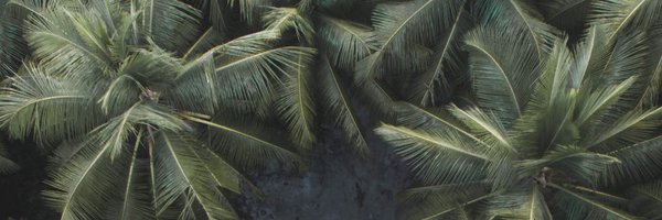 jaihowitt Profile Banner