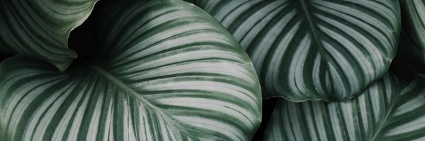 W_dubbbb Profile Banner