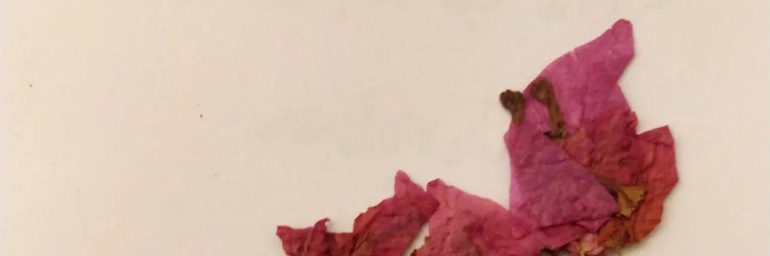 riaaasath's profile banner image
