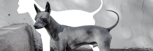 JULIANHERPER Profile Banner