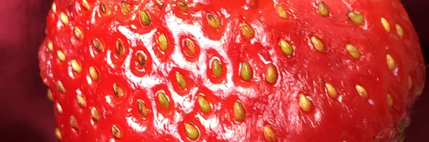 michitamiau banner