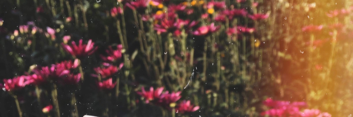 leslie_levano's profile banner image