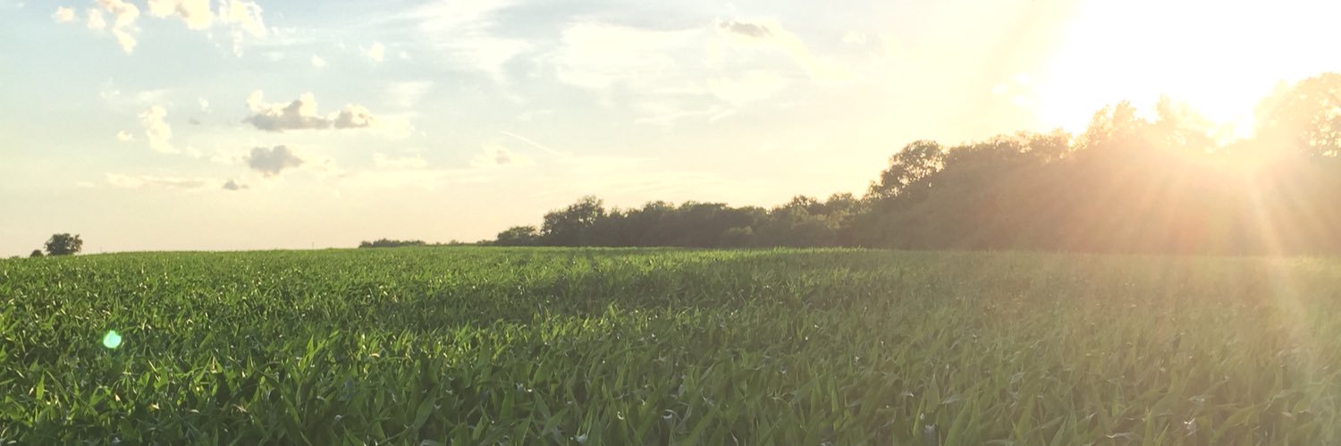 Alexis Meadows banner