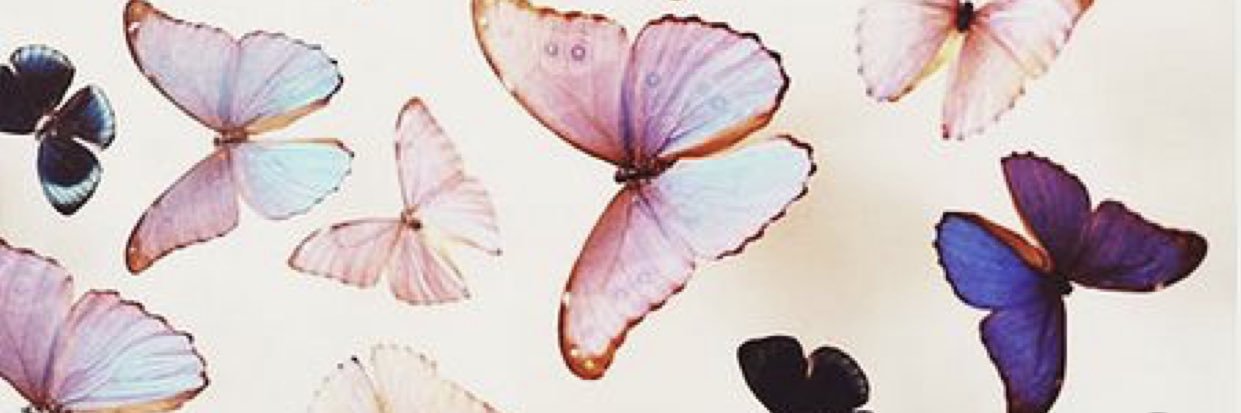 averieeeeee's profile banner image