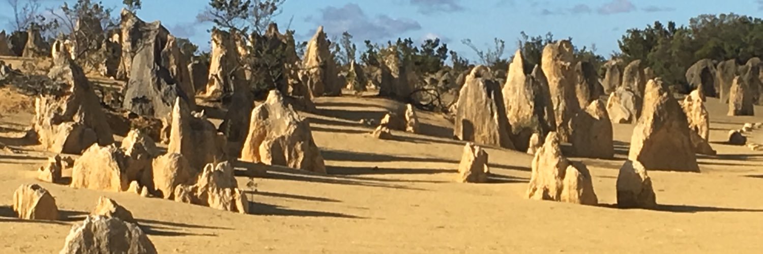 Stephen Scarth banner