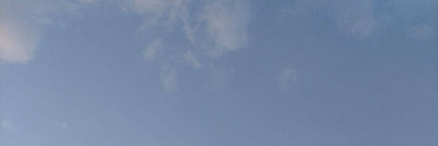 leviathenu's profile banner image
