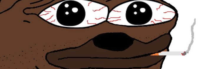 Zaga banner