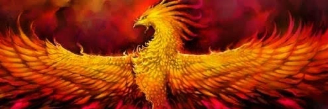 RaypuntoG's profile banner image