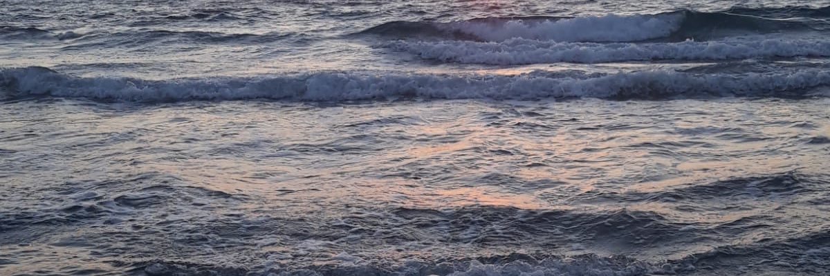 mireiaraga's profile banner image