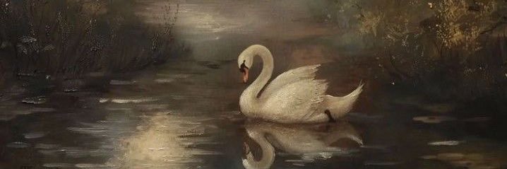 parisgreif's profile banner image