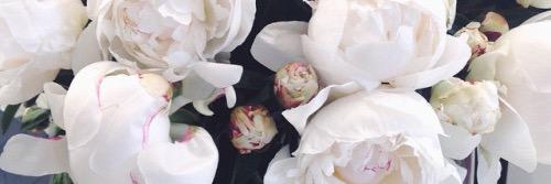 antimacy's profile banner image
