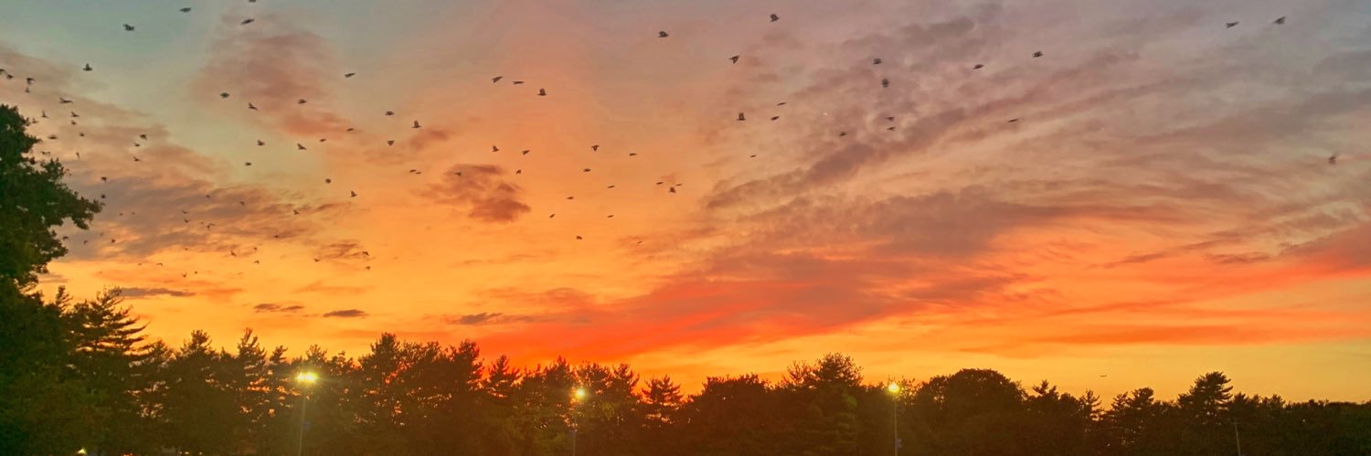 Miller_C1's profile banner image
