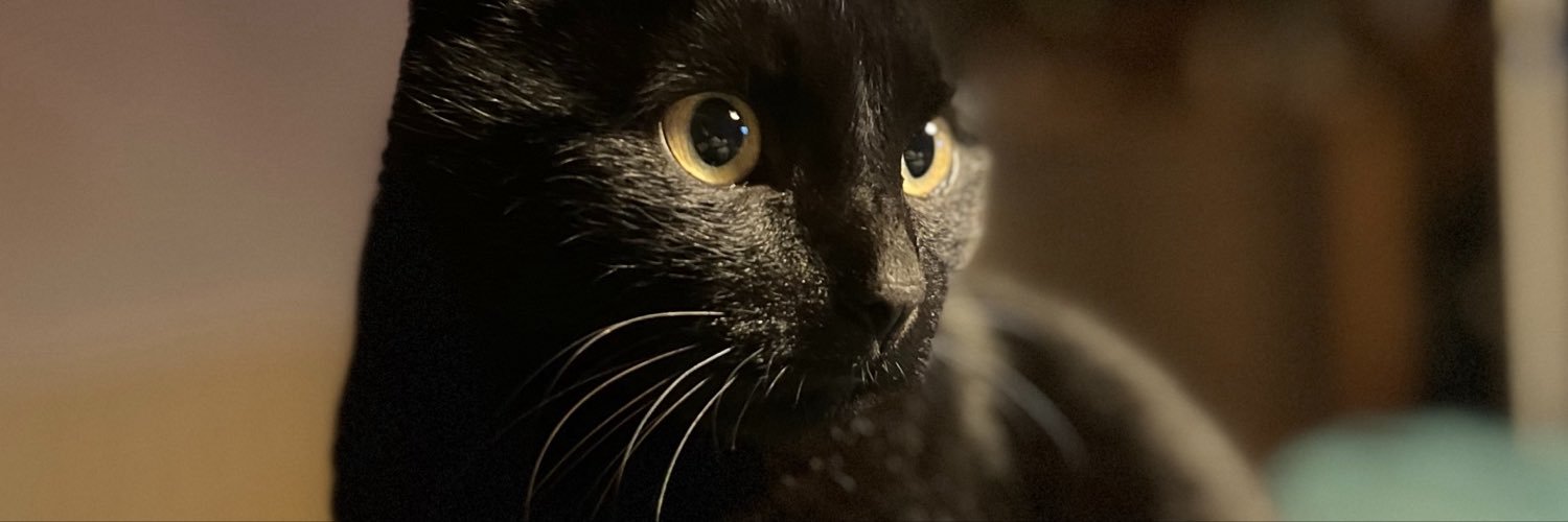 LopezPilou's profile banner image