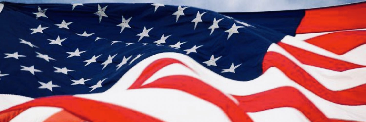 Ms Patriot Lady 🌺 banner