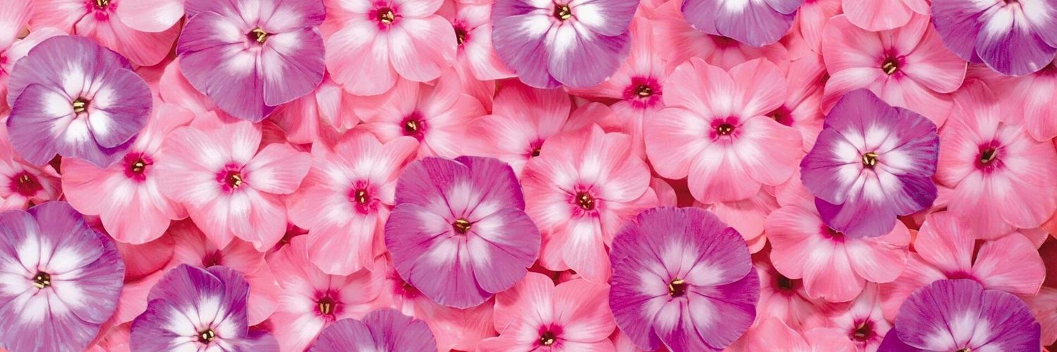 you_cookie_'s profile banner image