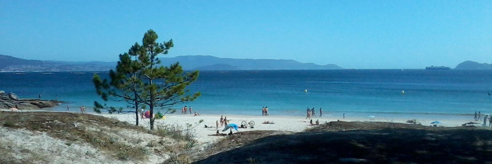 O l i v e i r a banner