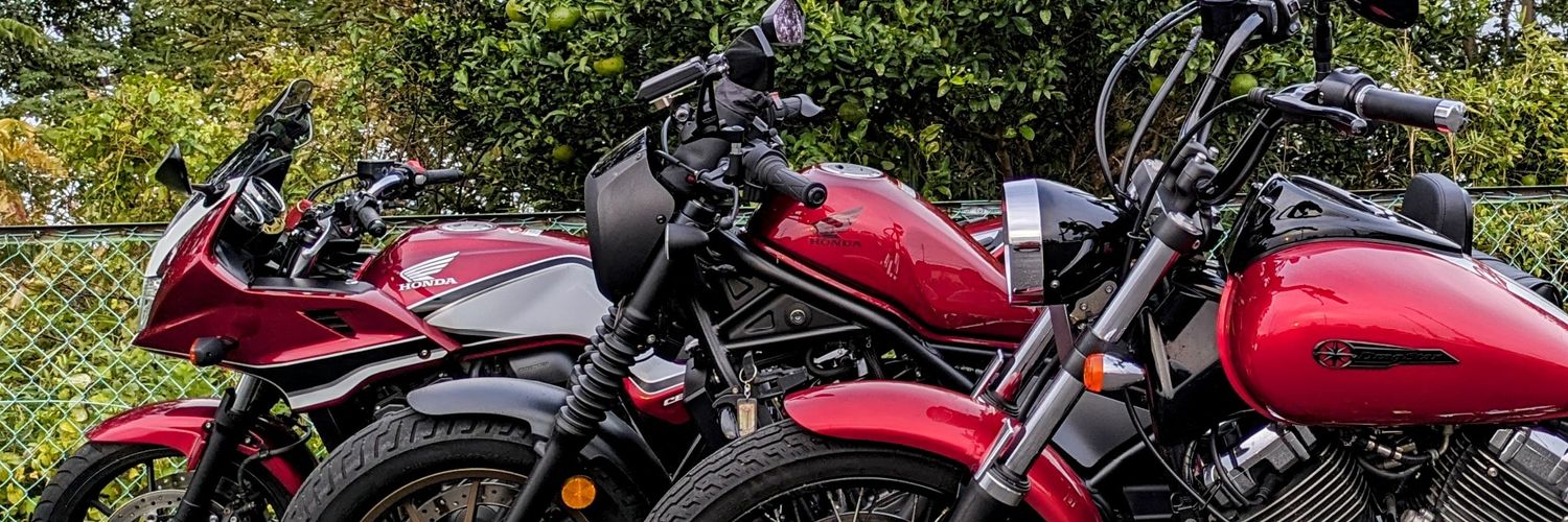 瑞雲ziun ELD55 banner