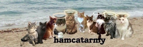 JustSkate23 Profile Banner