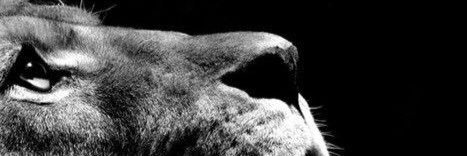 JoseCarlos_Fv's profile banner image