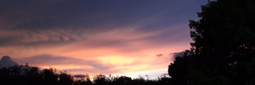 Giselee__'s profile banner image