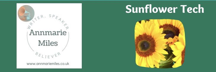 Annmarie Miles banner