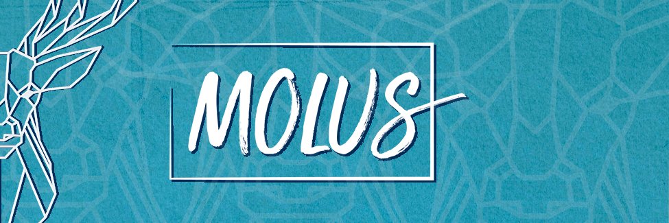 molusmusic's profile banner image