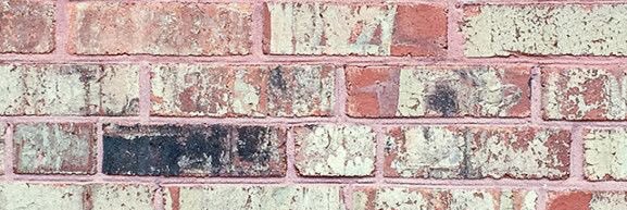 katee_sims's profile banner image