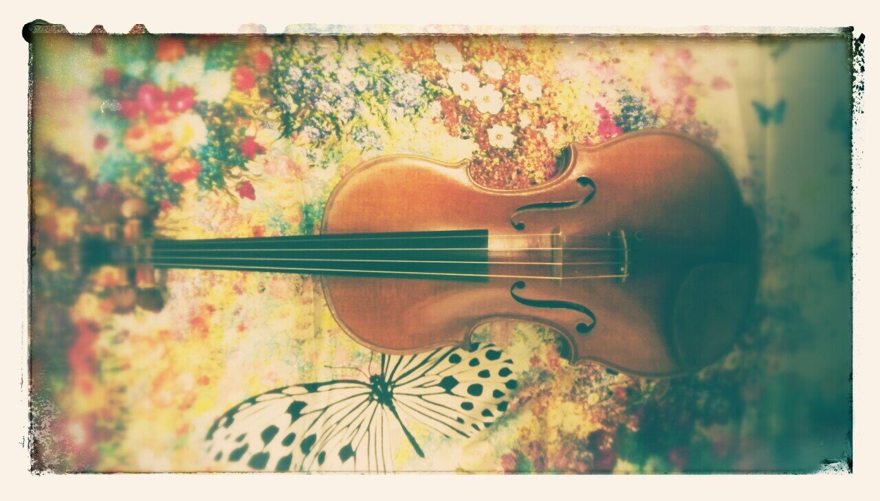 とくちゃん🎻走るバイオリニスト banner