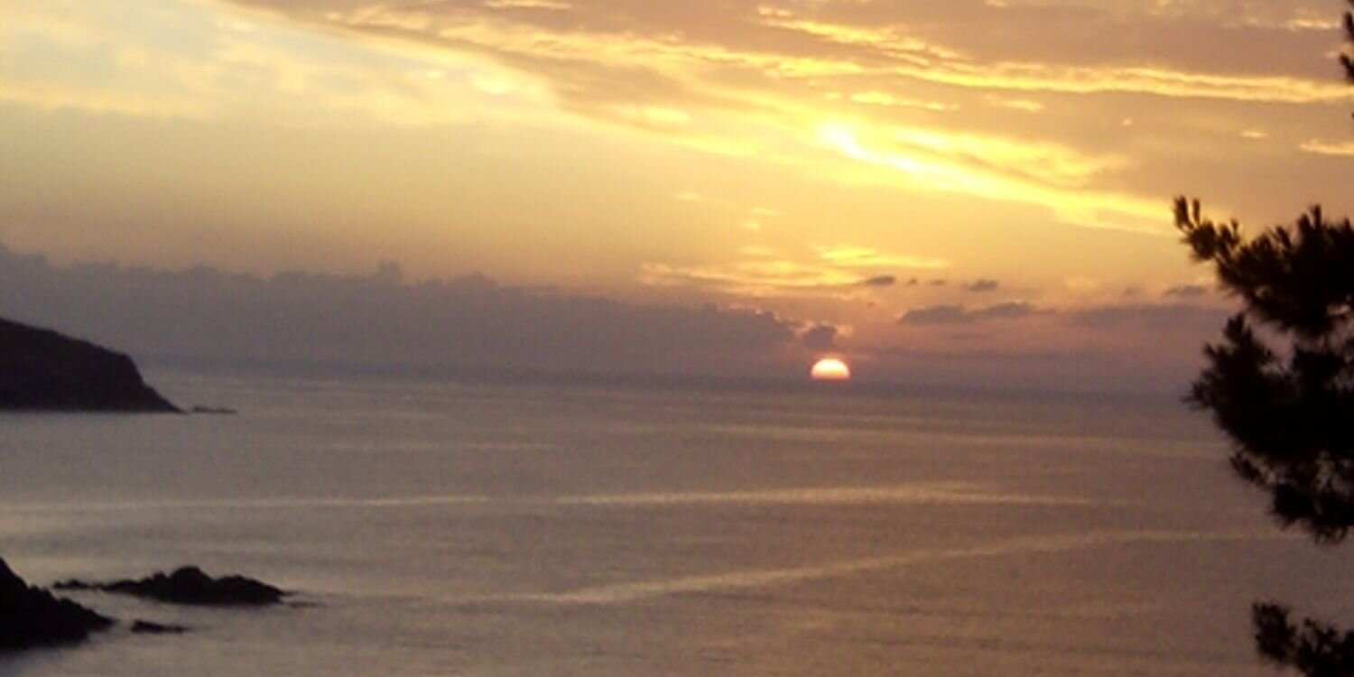 tevo95's profile banner image