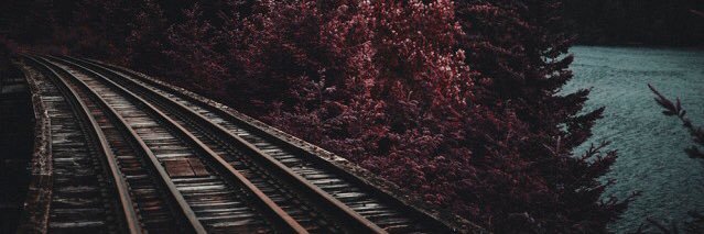 ddlxt's profile banner image